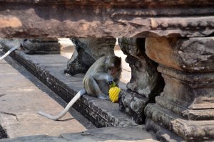 23.Februar 2017 07:01