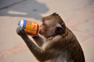 23.Februar 2017 07:03