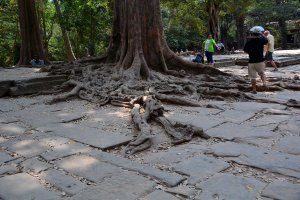 23.Februar 2017 08:15