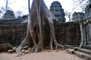 23.Februar 2017 08:34