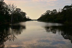 23.Februar 2017 11:31