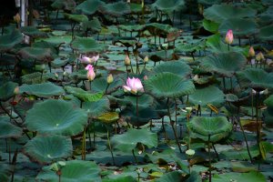 24.Februar 2017 05:14