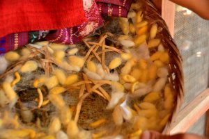 20.Februar 2017 05:24